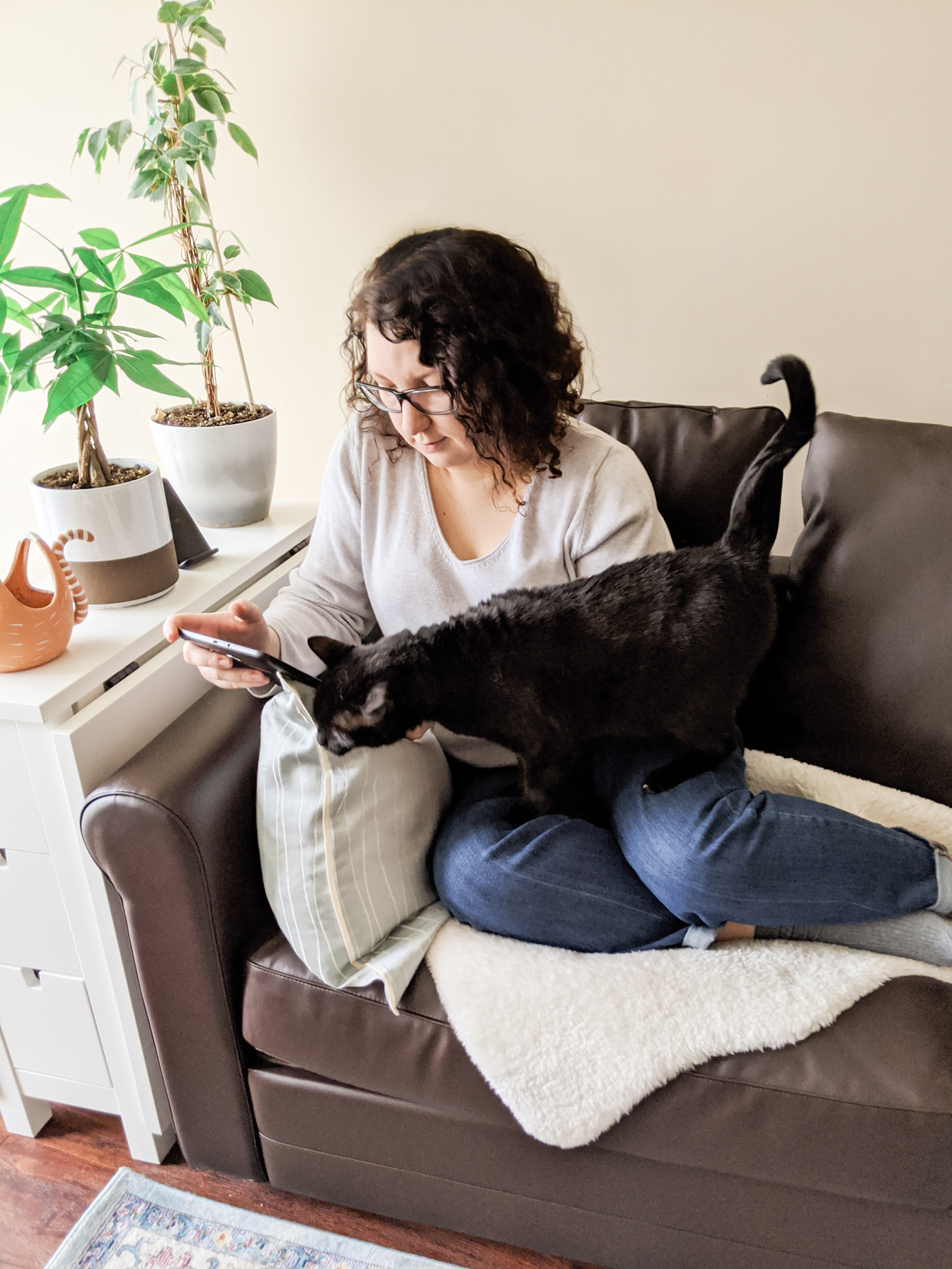 Web designer working on a tablet with her cat